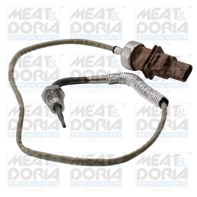 Sensor, exhaust gas temperature